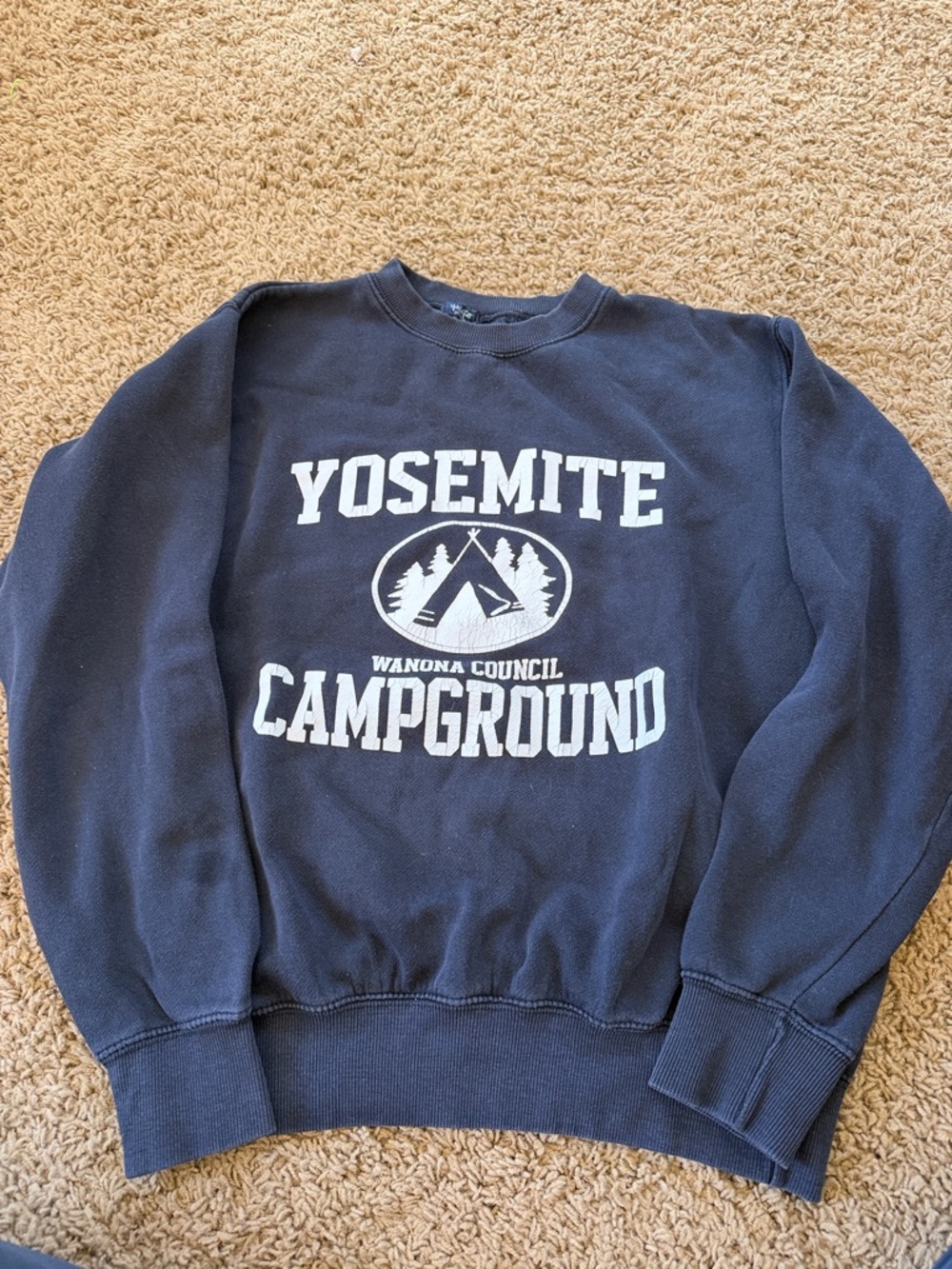 Brandy Melville Navy Sweatshirt with White Yosemite Campground Graphic